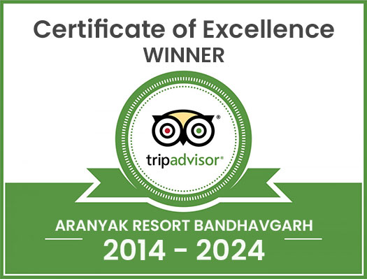 Certificate of Excellence